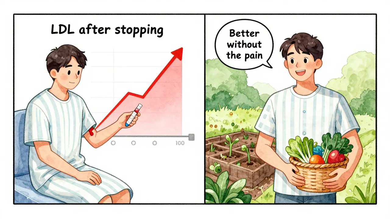A man’s cholesterol levels rise after stopping statins on the left, but he smiles while gardening on the right.