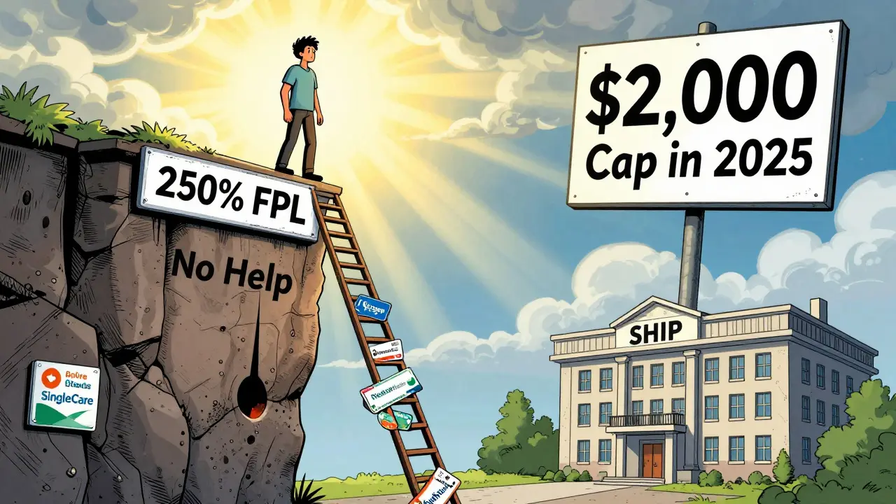 A person at the edge of an assistance cliff reaching toward a ladder of pharmacy discount programs and government support.